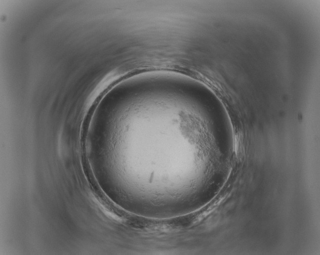 X0000061740195200512091619