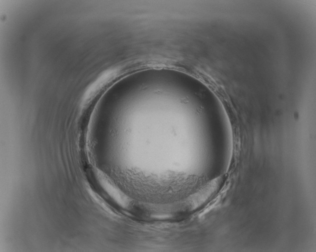 X0000061740197200512091619