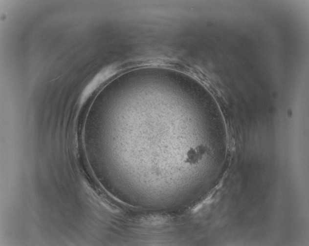 X0000061740198200512091619