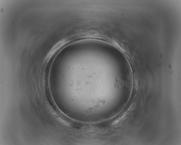 X0000061740199200512091619