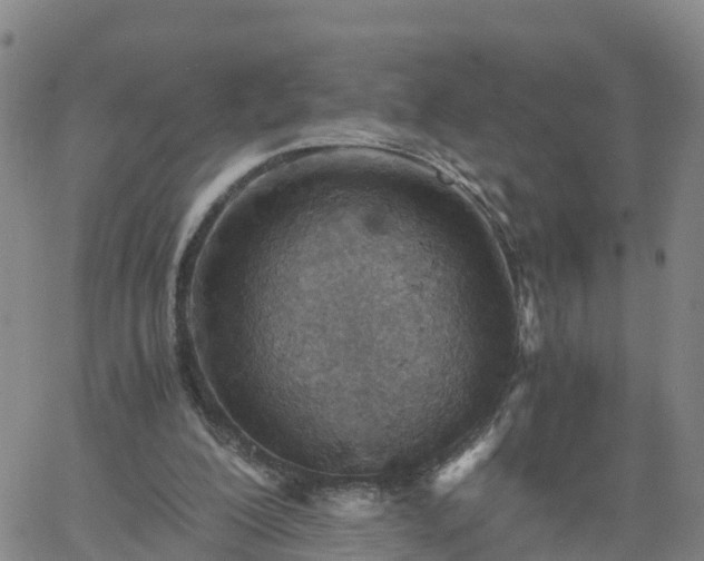 X0000061740200200512091619