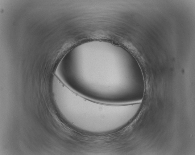 X0000061740201200512091619