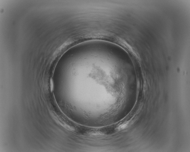 X0000061740203200512091619