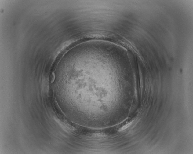 X0000061740204200512091619