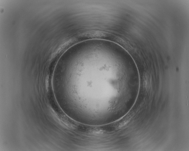 X0000061740206200512091619