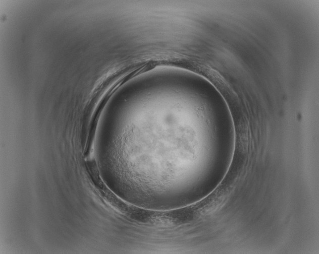 X0000061740207200512091619