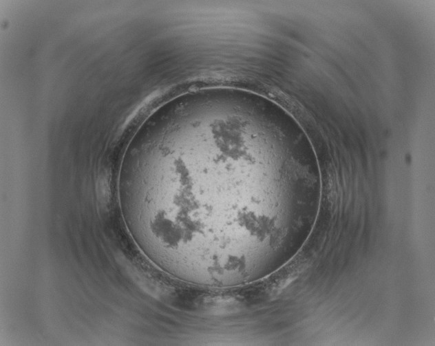 X0000061740208200512091619