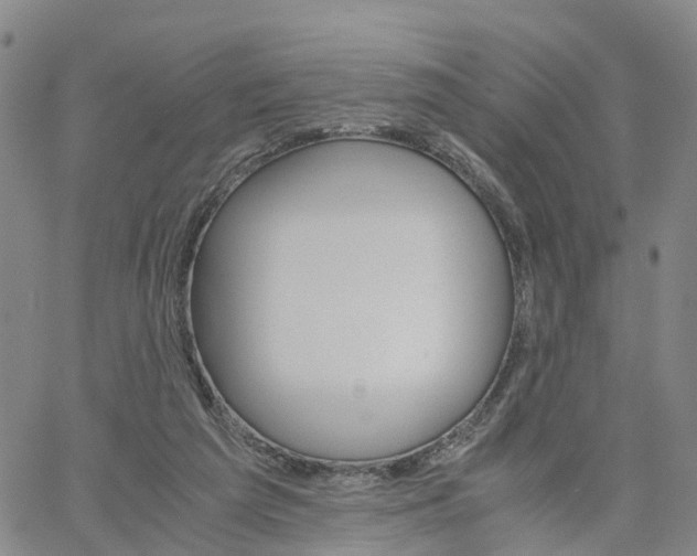 X0000061740209200512091619