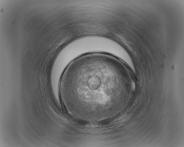 X0000061740211200512091619