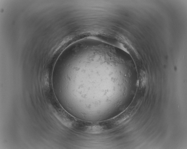 X0000061740212200512091619