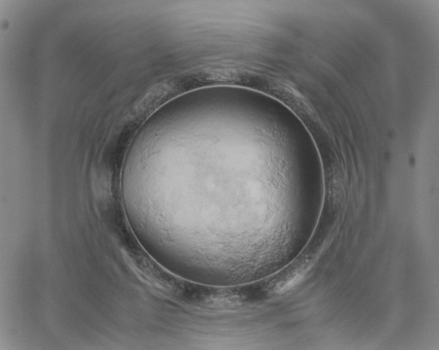 X0000061740213200512091619