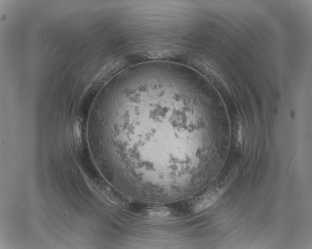 X0000061740214200512091619