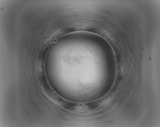 X0000061740215200512091619