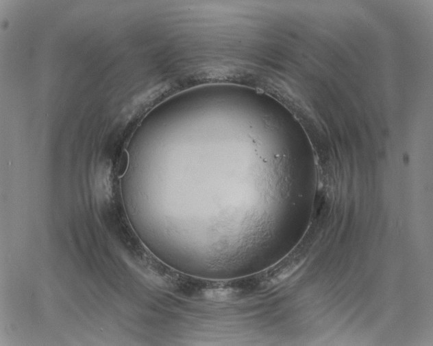 X0000061740216200512091619