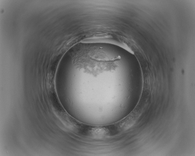 X0000061740218200512091619