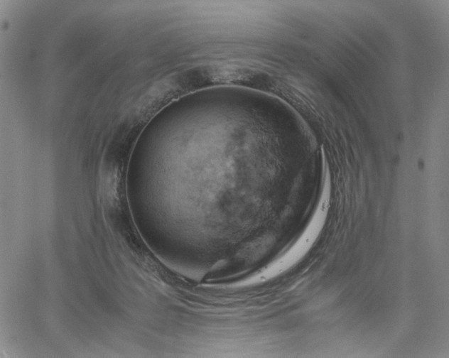 X0000061740219200512091619