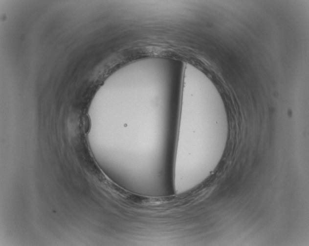 X0000061740221200512091618