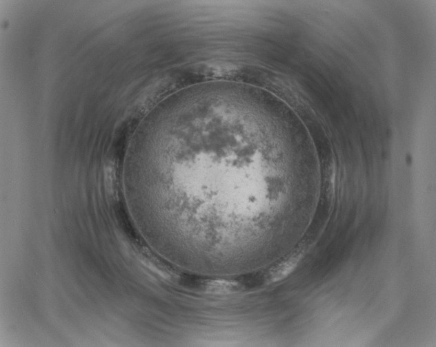 X0000061740222200512091618