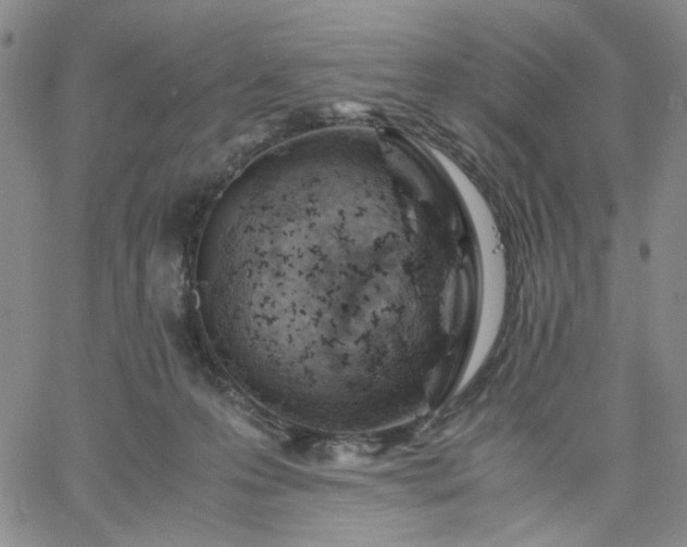 X0000061740223200512091618