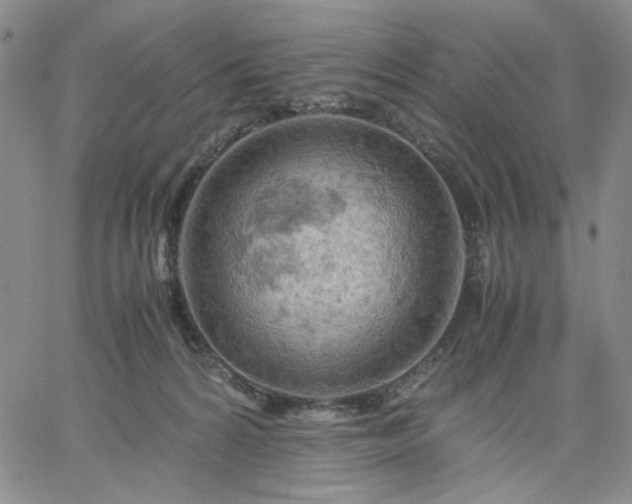 X0000061740224200512091618