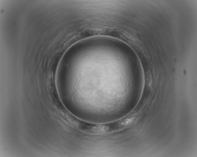 X0000061740225200512091618