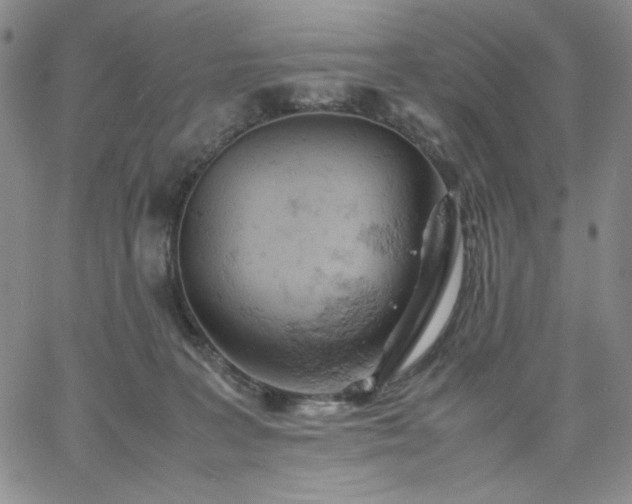 X0000061740227200512091618