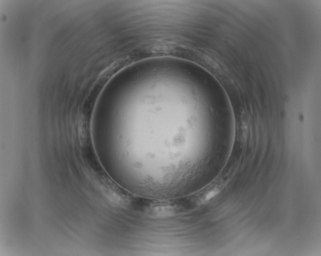 X0000061740228200512091618