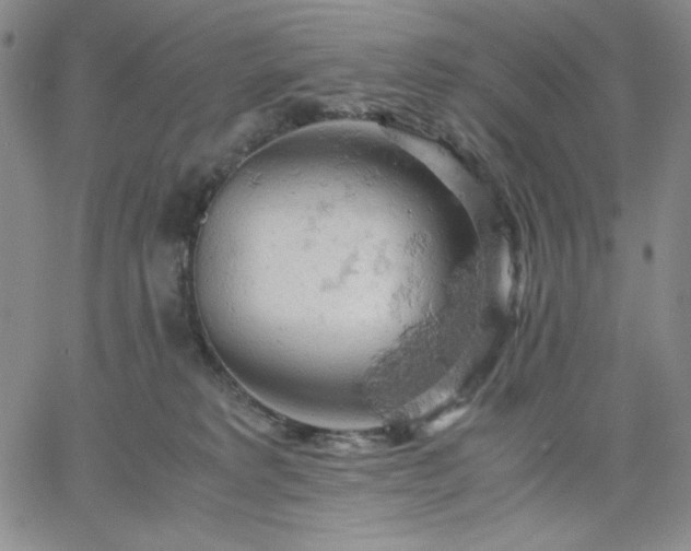 X0000061740229200512091618