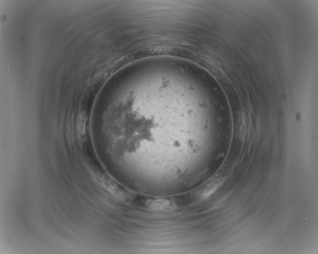 X0000061740230200512091618