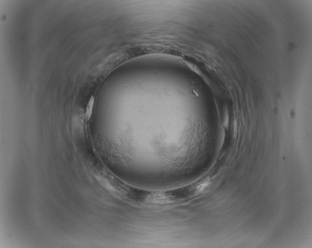 X0000061740231200512091618