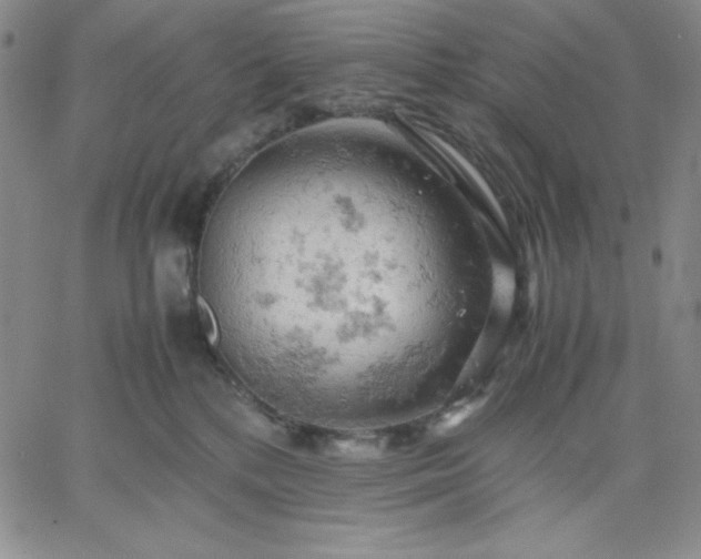 X0000061740232200512091618