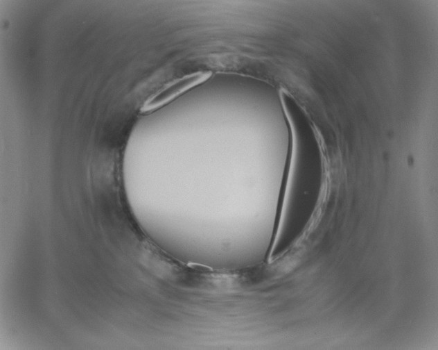 X0000061740233200512091618