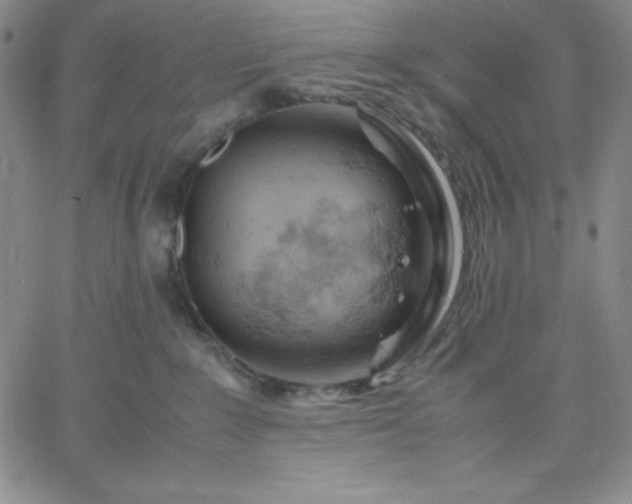 X0000061740235200512091618