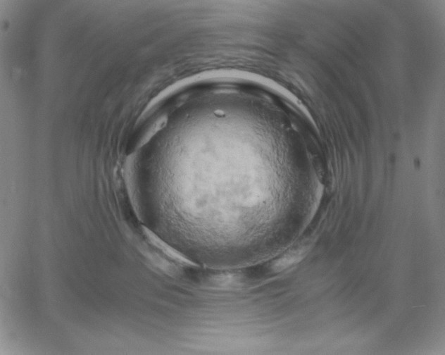 X0000061740237200512091618