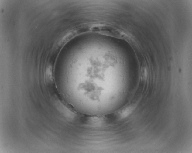 X0000061740238200512091618