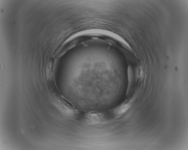 X0000061740239200512091618