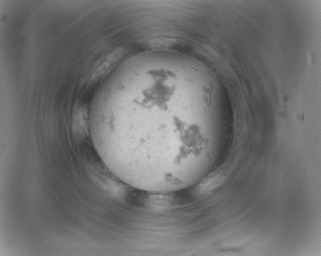 X0000061740240200512091618