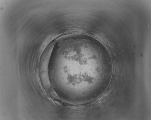 X0000061740241200512091617