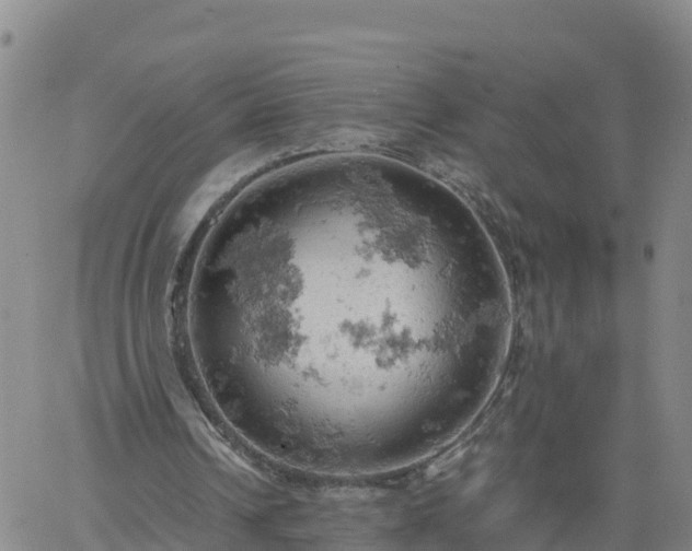 X0000061740242200512091617