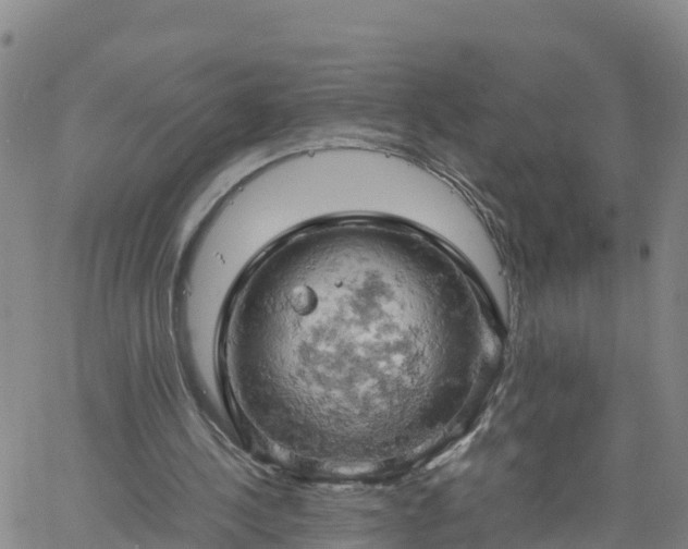 X0000061740244200512091617