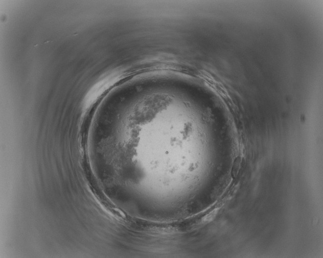 X0000061740245200512091617