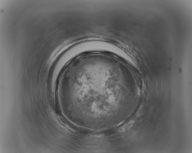 X0000061740247200512091617