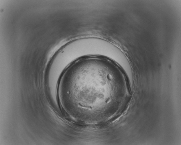 X0000061740248200512091617