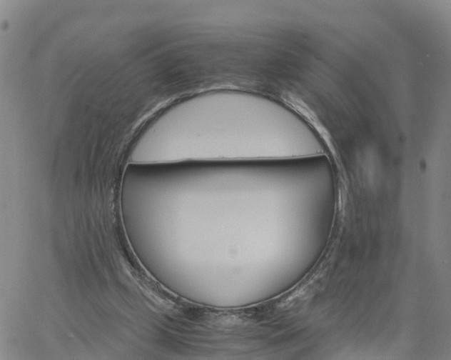 X0000061740249200512091618