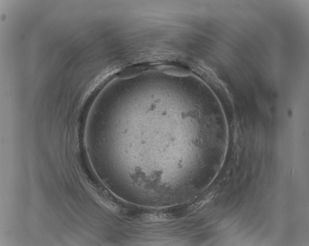 X0000061740250200512091618