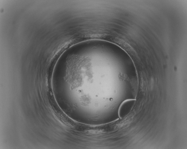 X0000061740251200512091618