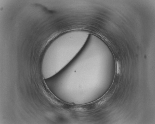 X0000061740253200512091618