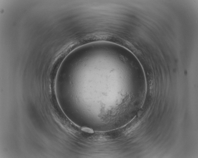 X0000061740254200512091618