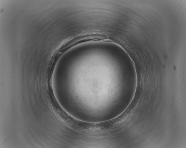 X0000061740256200512091618