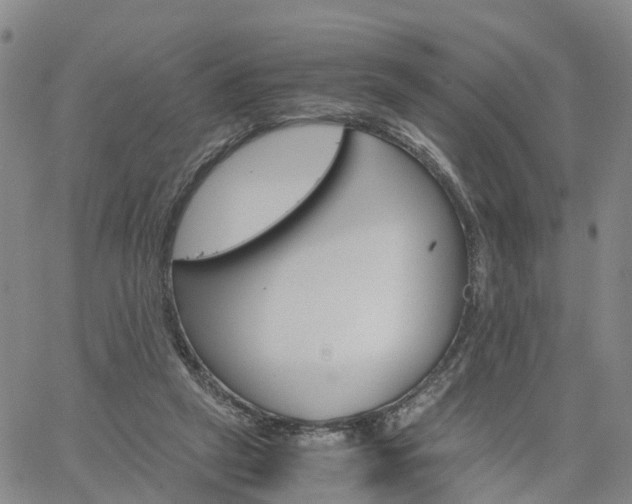 X0000061740257200512091618